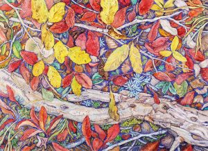 Dora Helen Mackie: GROUND COVER