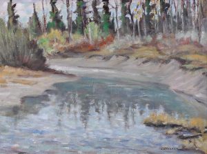 John Davenall Turner: ELBOW RIVER