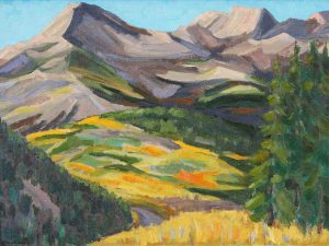 John Harold Thomas Snow: MOUNTAIN MEADOW