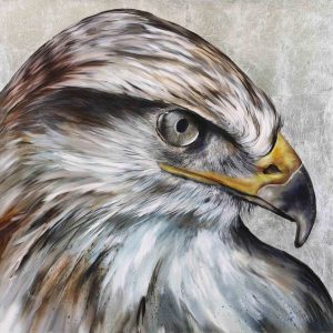 Richard Cole: HAWK