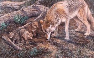 Gail Adams: NATURE’S TENANTS