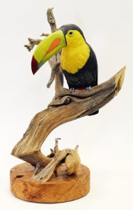 Deanna Bartholow: TOUCAN