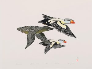 Kananginak Pootoogook: ARCTIC BOUND