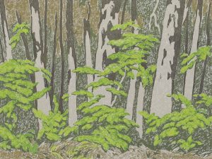 Alfred Joseph Casson: FOREST EDGE