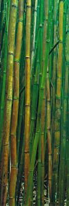 Peter Lik: BAMBOO FOREST