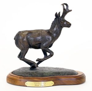 Rick Taylor: PRONGHORN