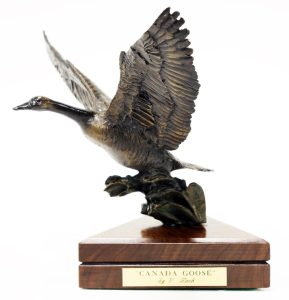 Vilem Zach: CANADA GOOSE
