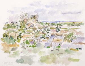Reta Madeline Cowley: BUSHES AGAINST A DUGOUT