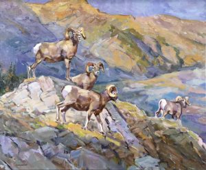 Fred Cameron: WILCOX PASS