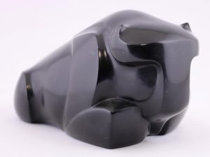 David Riome: BISON
