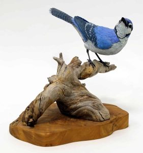 Deanna Bartholow: BLUE JAY