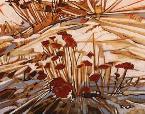 Shannon Craig Morphew: FIRST SNOW