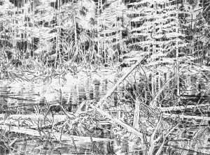 Ted Godwin: BEAVER POND – KANANASKIS ROAD