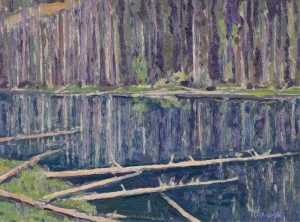 William (Bill) Duma: LAKE NEAR STORM MTN. (BURNT OUT AREA ON THE WAY TO RADIUM HOT SPRINGS)