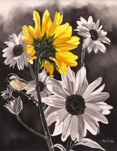 Andrew Kiss: CHICKADEE ON SUNFLOWER
