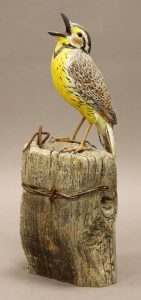 Deanna Bartholow: WESTERN MEADOWLARK