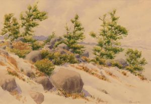 James Stanford (Stan) Perrott: TREES AND ROCKS