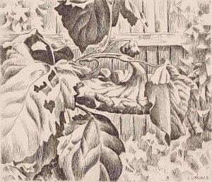 Ernest Lindner: SUNFLOWER