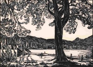 Margaret Dorothy Shelton: PINE ON LUCERNE LAKE