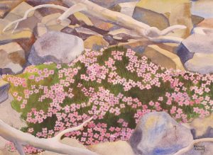 Annora Brown: MOSS CAMPION