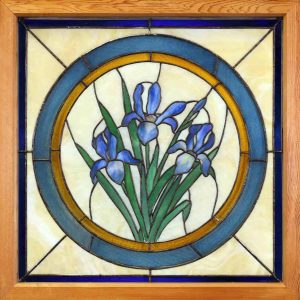 William (Bill) Duma: IRISES