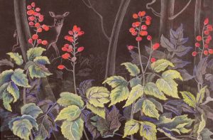 Annora Brown: FOREST SCENE WITH BANEBERRY AND DEER