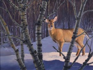 Rick Berg: DEER IN DAPPLED FOREST LIGHT