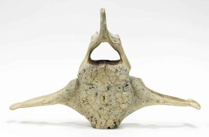 Unidentified Inuit Artist: FACE WITH ANIMAL FIGURES