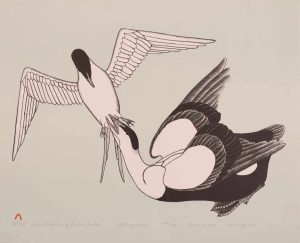 Kananginak Pootoogook: TERN ATTACKING EIDER DUCK