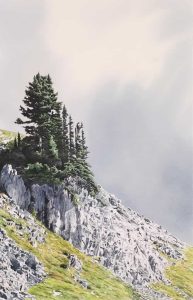 Simon H. Camping: CASCADING ROCKS_x000D_