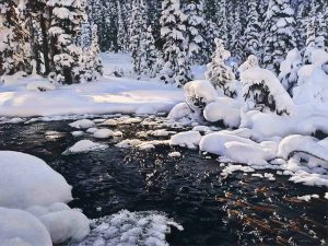 Richard Mravik: SNOW CAPPED CREEK