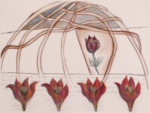 Joane Cardinal-Schubert: THIS IS THE BEGINNING