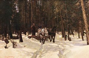 Francis Hans (Franz) Johnston: THE SILENT PLACES
