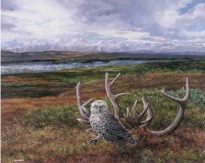 Bob Barnes: ARCTIC GHOST