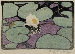 Walter Joseph Phillips: THE LILY