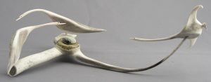 Jim H. Raddi: NESTING BIRDS