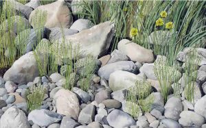 Kenneth Samuelson: GLENMORE SHORELINE