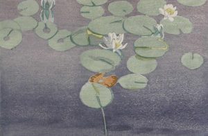 Walter Joseph Phillips: WATER LILIES