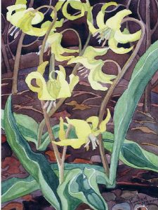 Annora Brown: YELLOW FLOWERS