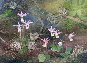 Annora Brown: PINK COLUMBINES