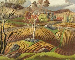 Tom Wood: AUTUMN FIELDS