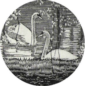 Walter Joseph Phillips: SWANS