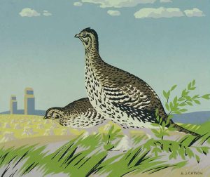Alfred Joseph Casson: SHARP-TAILED GROUSE