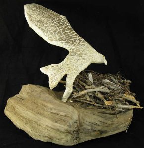 Gale Jacobson: NESTING EAGLE GUARDING EGG