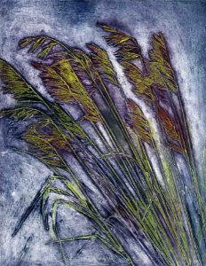 Kathy Barnson: BLOWING IN THE WIND