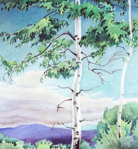 Janet (Holly) B. Middleton: VISTA WITH TREES