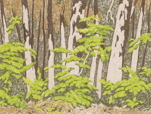 Alfred Joseph Casson: FOREST EDGE