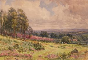 Charles Jones (C. J.) Way: SUMMER, EASTERN TOWNSHIPS