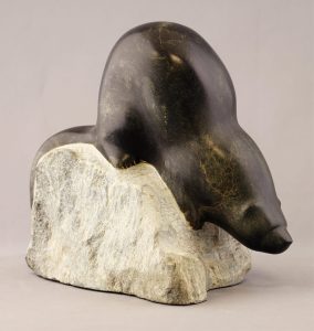 Cathryn Jenkins: OTTER