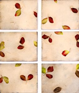 Antonio Murado (6): UNTITLED NYC